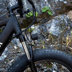 Adventure Seeker Fat Tire Electric Bike | 1000W