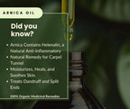 SSF Organics- Recovery and Relief- Topical Ointments and Balms- Arnica Salve | Treats Fragile Thin Skin, Bruises, Sore Muscles, Visibile Veins, Swelling, Massage, Post Workout Recovery.