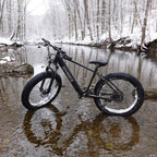 Adventure Seeker Fat Tire Electric Bike | 1000W