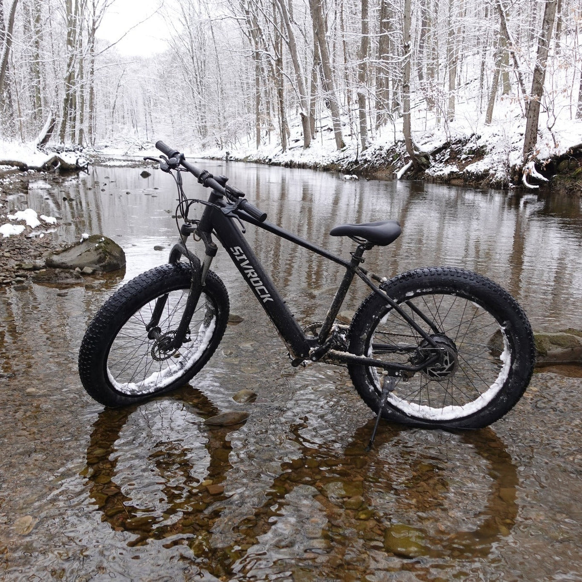 Adventure Seeker Fat Tire Electric Bike | 1000W