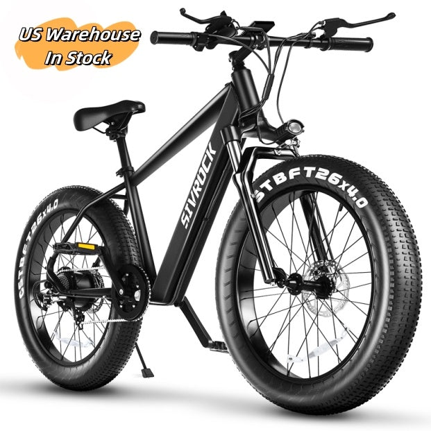 Adventure Seeker Fat Tire Electric Bike | 1000W