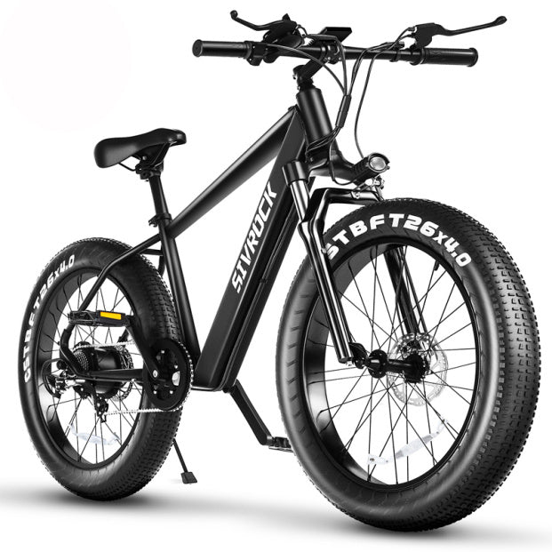 Adventure Seeker Fat Tire Electric Bike | 1000W
