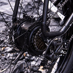 Adventure Seeker Fat Tire Electric Bike | 1000W