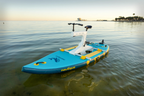 The Belize Paddleboard Water Bike