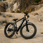 Adventure Seeker Fat Tire Electric Bike | 1000W
