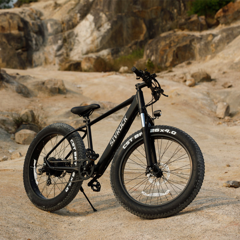 Adventure Seeker Fat Tire Electric Bike | 1000W