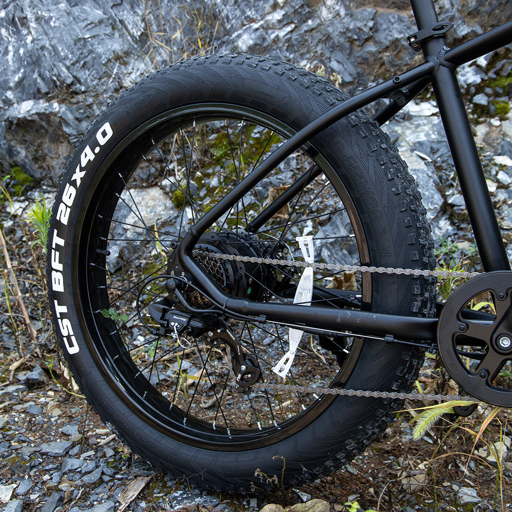 Adventure Seeker Fat Tire Electric Bike | 1000W